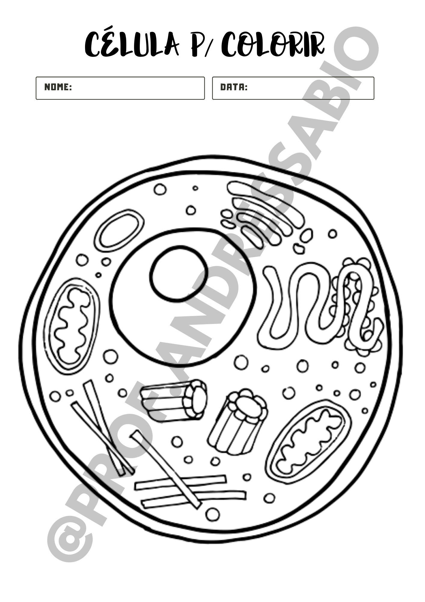 Desenho de Bactérias para colorir  Desenhos para colorir e imprimir gratis