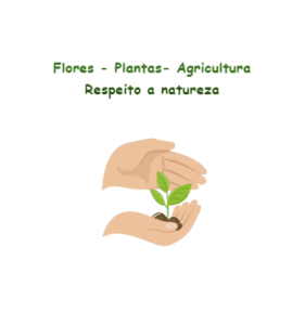 Plantas – Flores – Agricultura – 2Âº a 3Âº ano