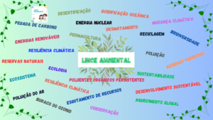 Lince Ambiental
