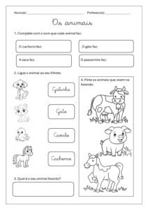 Atividade Educativa sobre Animais