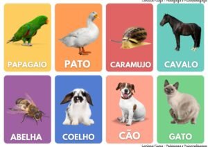 Fichas dos Animais